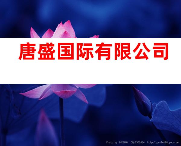 唐盛国际有限公司